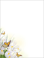 Spring Blossom Butterfly Letterhead, 50 CT