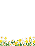 Daffodil Meadow Delight Letterhead, 50 CT