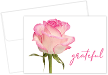 Grateful Pink Rose Thank You Notecard, 24 CT